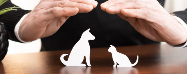 Assurer un animal de compagnie